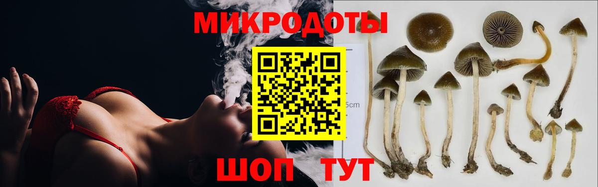 Арсеньев  закладка  Вход с VPN  Псилоцибиновые грибы Psilocybe  Псилоцибиновые грибы мухоморы 